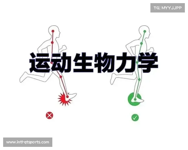空手道科学化体重分级体系构建与优化以公平竞争与运动安全为核心