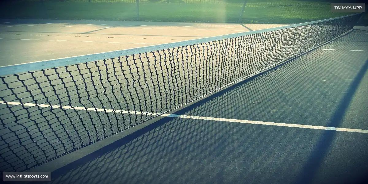 球探比分——肌肉的线条,书写力量的十四行诗。⚗️ 🌅